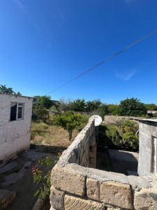 image 378272