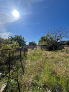 image 378272