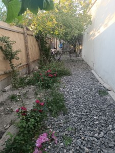 image 378290