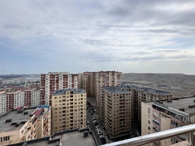 image 378293