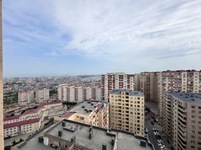 image 378293
