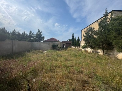 image 378295