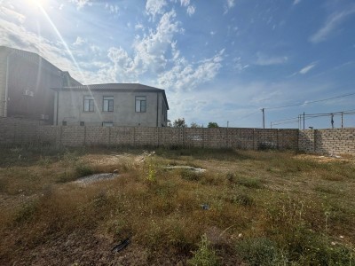 image 378298