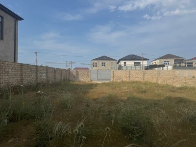 image 378298
