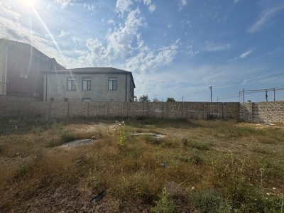image 378298