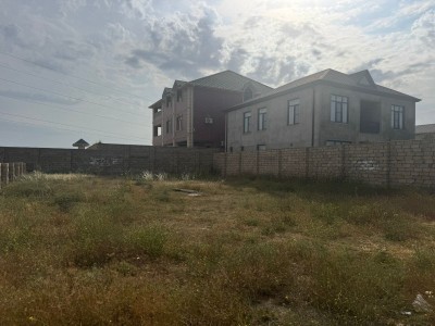 image 378298
