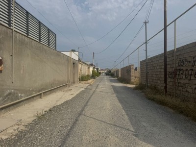 image 378298