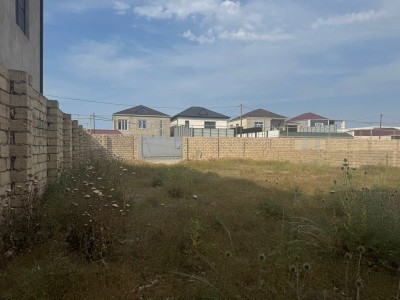 image 378298
