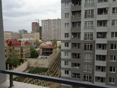 image 378308