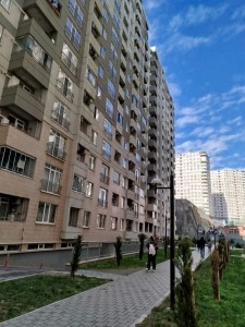 image 378309