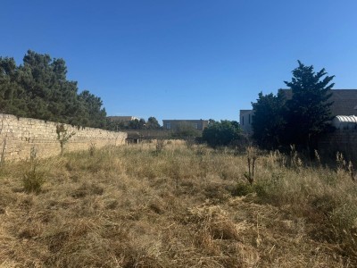image 378338