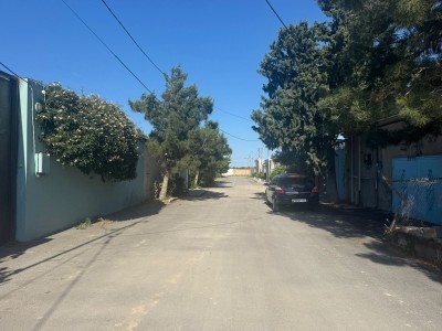 image 378338