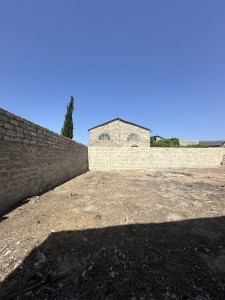 image 379265