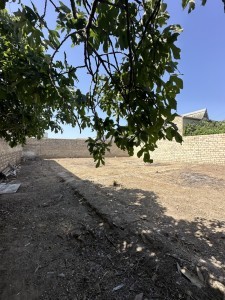 image 379265