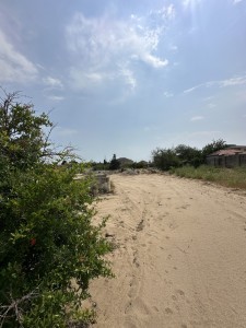 image 380745