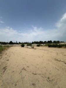 image 380745