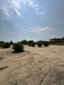 image 380745