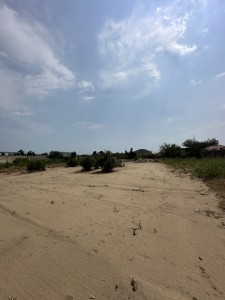 image 380745