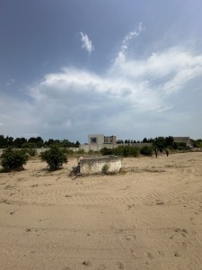 image 380745