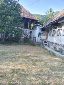 image 382792
