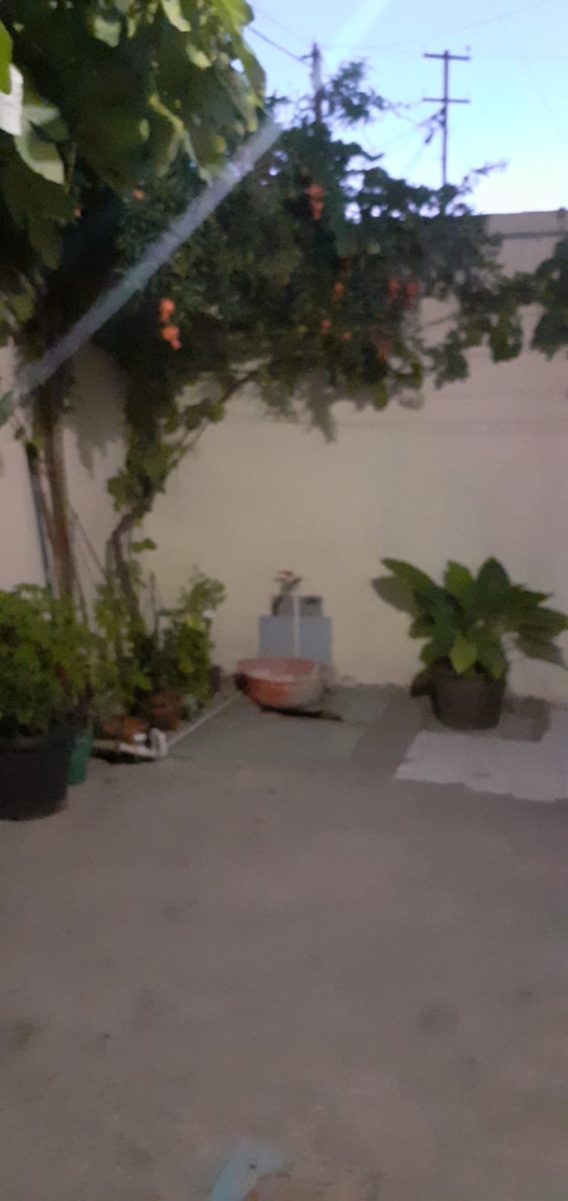 image 384528