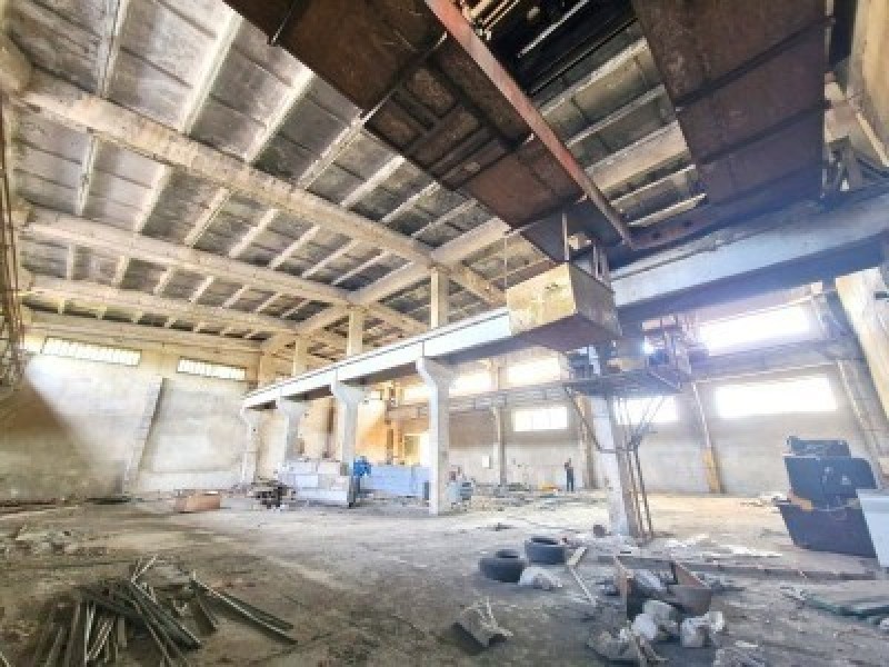 image 384545