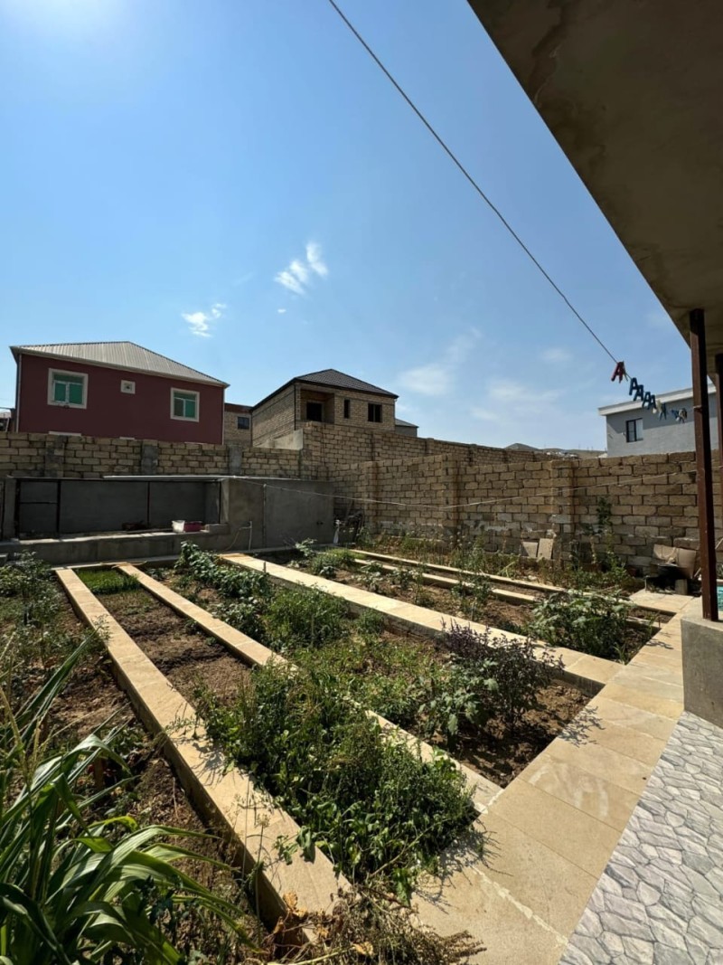 image 384551
