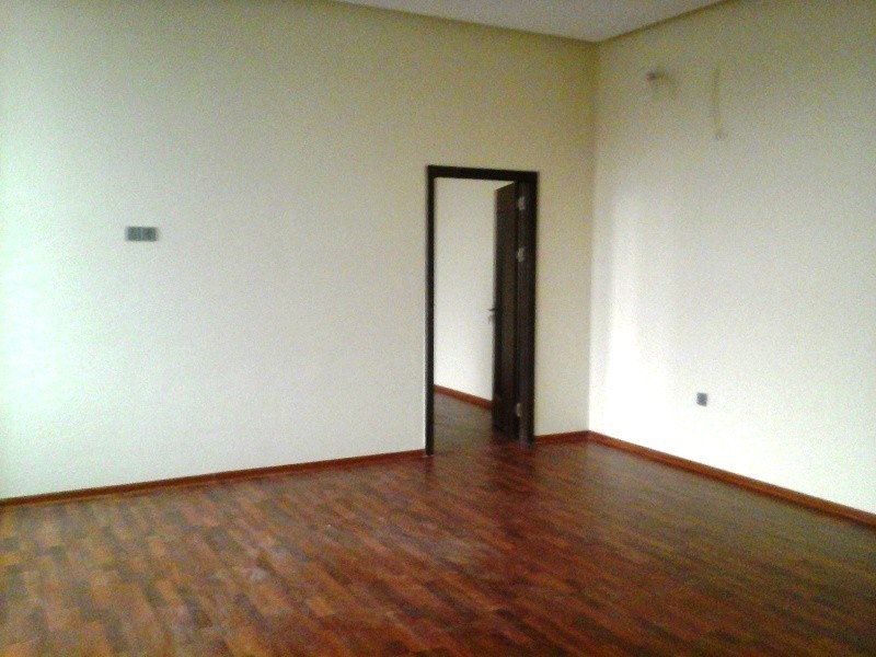 image 384574