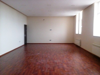 image 384576