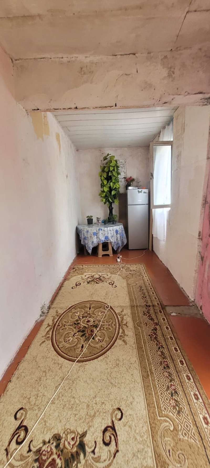 image 384595