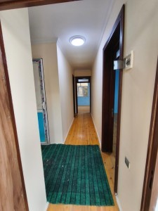 image 384612