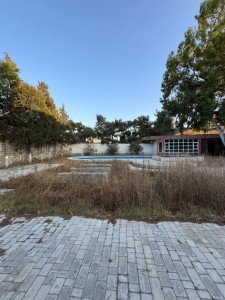 image 384639