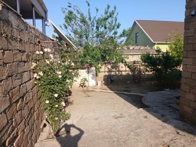 image 384670