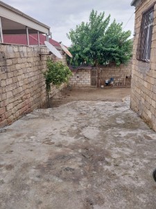 image 384670