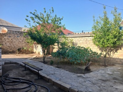 image 384670