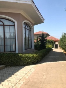 image 384700