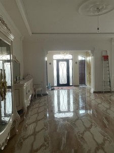 image 384700