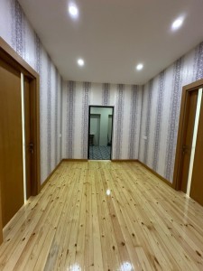 image 384704