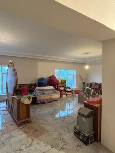 image 384719
