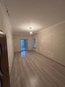 image 384719