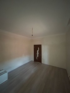 image 384719