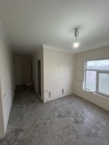image 384719