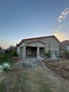 image 384719