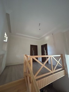 image 384719
