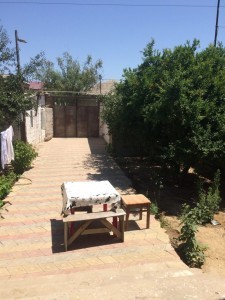 image 384759