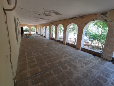 image 384795