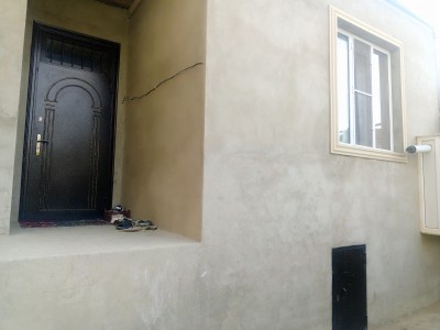 image 384797
