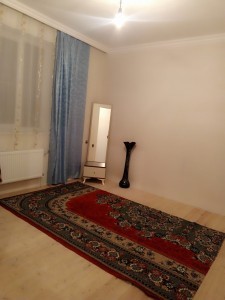 image 384797