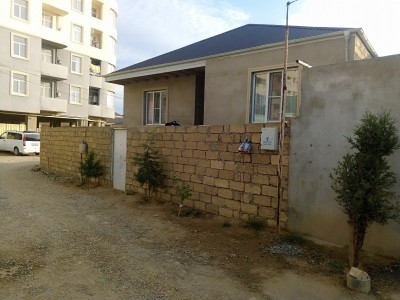image 384797