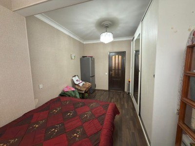 image 384843